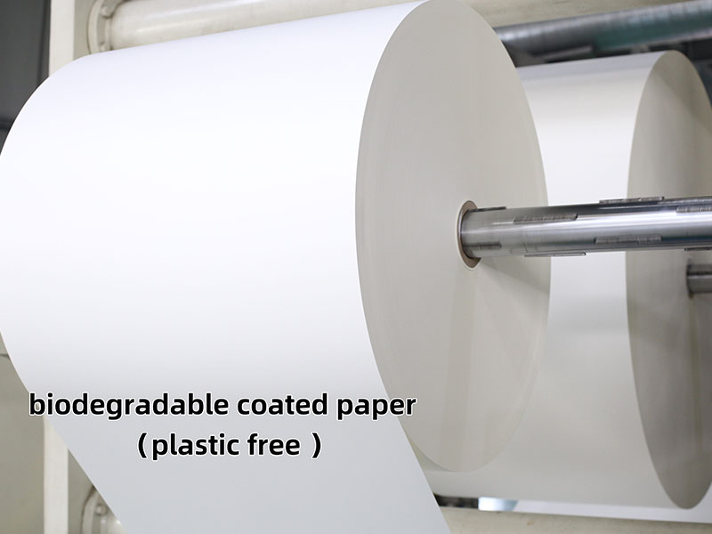 10-papel revestido biodegradável
