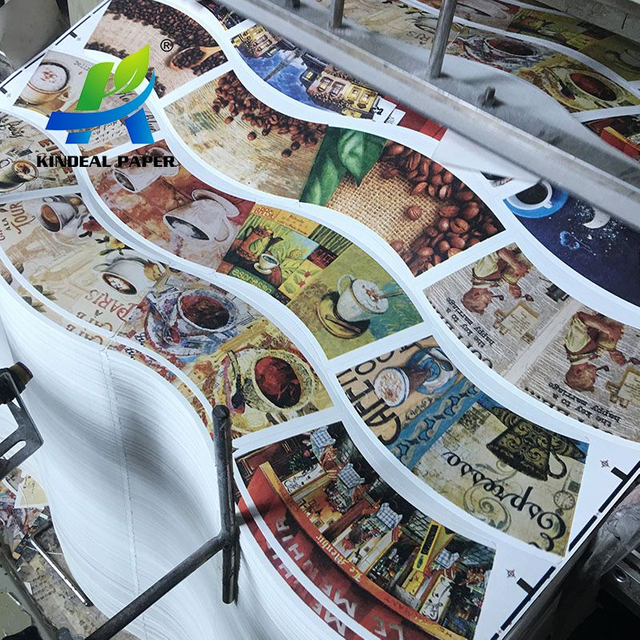Placa de papel Cupstock revestida com Pe de um lado em rolo para fazer copos e tigelas de papel