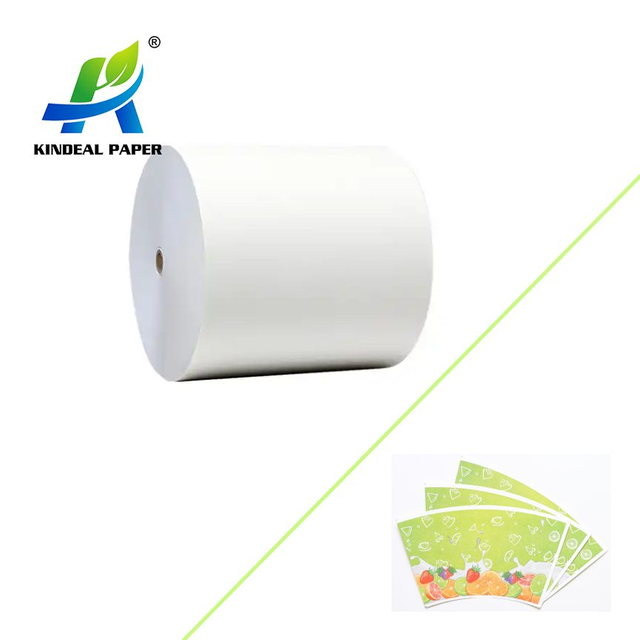 Papel branco de custódia revestido de PE de 1 lado de alta qualidade em tamanho personalizado de rolo ou folha 